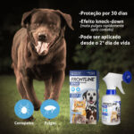 Antipulgas e Carrapatos Frontline Spray para Cães e Gatos 250ml Boehringer Ingelheim