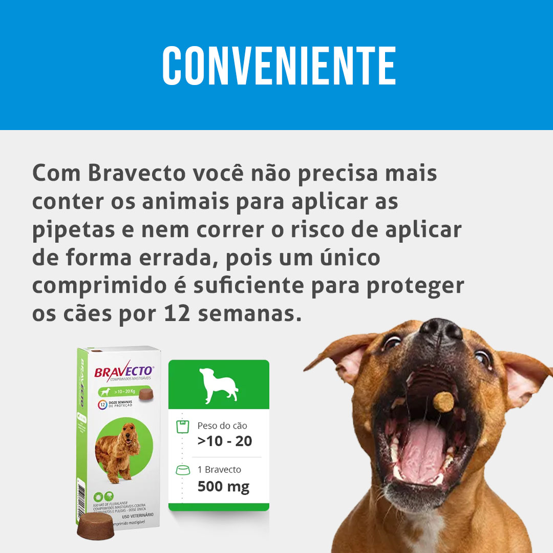 Antipulgas e Carrapatos Bravecto para Cães de 10 a 20 kg – 500 mg MSD