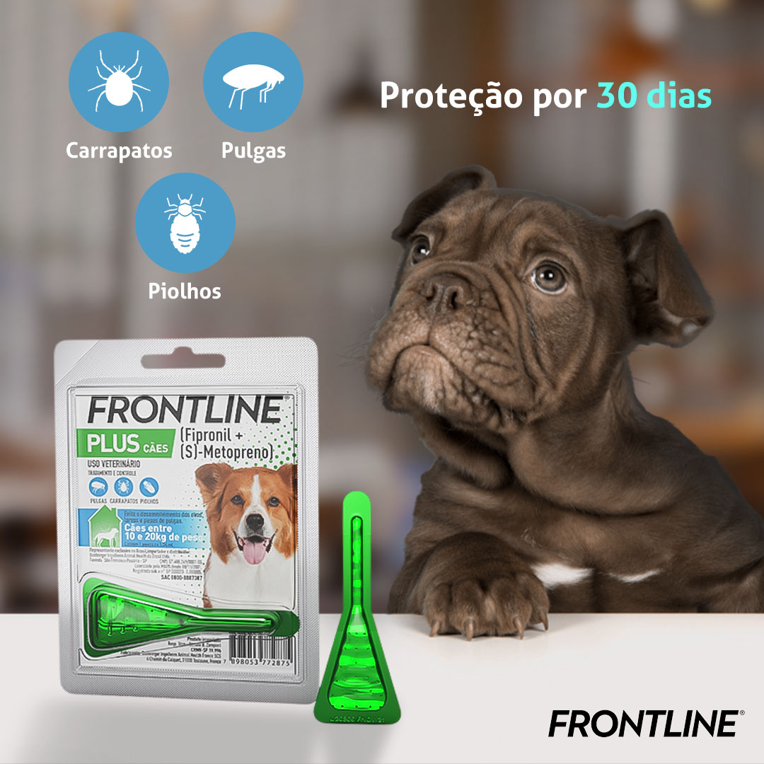 Antipulgas e Carrapatos Frontline Plus para Cães de 10 à 20Kg 1,34ml Boehringer Ingelheim