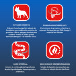Ração Premier Raças Específicas para Cães Filhotes Bulldog Francês Sabor Frango 2,5Kg