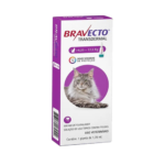 Bravecto Transdermal para Gatos de 6,25 a 12,5Kg 1,79ml