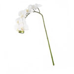 Flor Artificial Orquídea Phalaenopsis 1m GR210625 Casa Ok