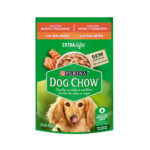 Ração Úmida Dog Chow para Cães Adultos de Raças Pequenas e Minis Sabor Salmão 100g