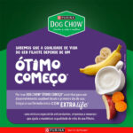 Ração Dog Chow Extra Life para Cães Filhotes de Raças Mini e Pequenas Sabor Carne, Frango, Frutas e Leite 10,1Kg