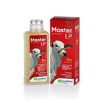 Master LP 200ml Ourofino