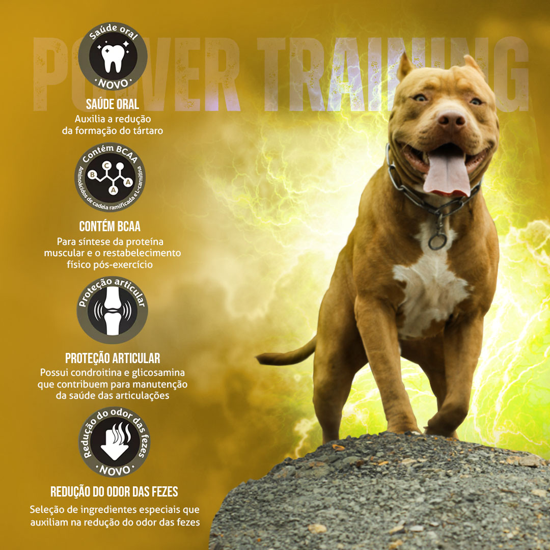 Ração Golden Power Training para Cães Adultos Sabor Frango e Arroz 15kg