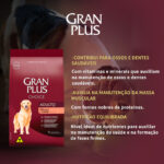 Ração GranPlus Choice para Cães Adultos de Todos os Portes Sabor Frango e Carne 10,1Kg