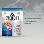 Ração Úmida Everest para Gatos Filhotes Cubos de Frango ao Molho 85g