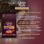 Ração GranPlus Gourmet para Gatos Filhotes Sabor Salmão e Frango 10,1Kg