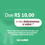 Doação Rio Grande do Sul (R$10,00)
