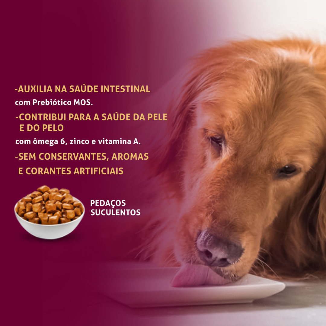 Ração Úmida GranPlus Gourmet para Cães Adultos Sabor Ovelha 100g