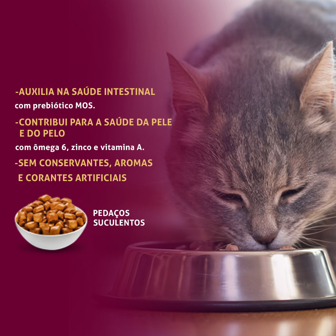 Ração Úmida GranPlus Gourmet para Gatos Adultos Sabor Carne 85g